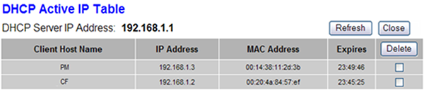 router ip table